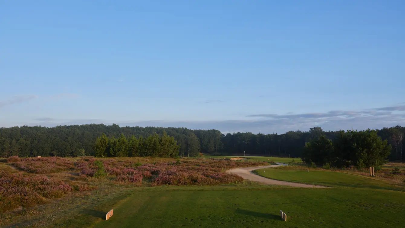 Het landschap van The Links Valley